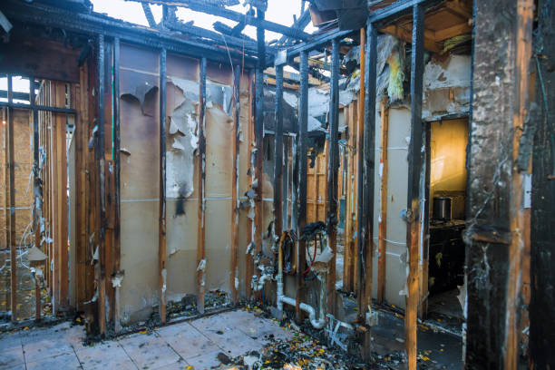 Professional Emergency Fire Cleanup technician working in Freeland, WA